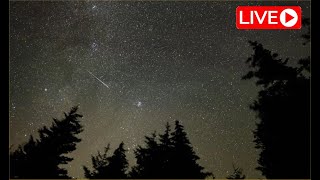 LIVE Perseid Meteor Shower [upl. by Janenna]