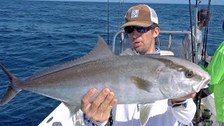 Epic Topwater Amberjacks and Huge Bull Sharks [upl. by Eiramik]