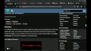 Tissu nerveux 4 [upl. by Asiil]