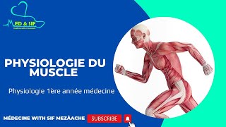 7 Physiologie du Muscle  Physiologie 1ére MED [upl. by Blau627]