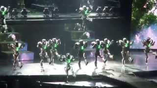 Cirque du Soleil  Michael Jackson THE IMMORTAL World Tour  They Dont Care About Us [upl. by Arakal]