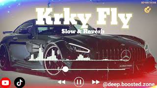 Krky Fly Slow amp Reverb  Ma krky fly aa wan jad main bola wan  New Latest Punjabi song [upl. by Dalli]