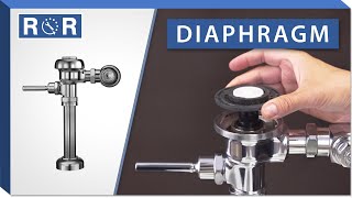 Sloan Regal Flushometer  Diaphragm  Repair and Replace [upl. by Nellda]