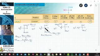 Cisteína  pH isoeléctrico  Formas predominantes a diferentes pHs [upl. by Norahs]
