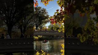 Autumn at Central Park NY ny nyc newyork newyorkcity travel explore adventure city usa [upl. by Ahsikcin]