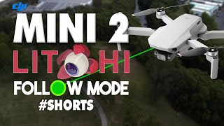 Testing DJI Mini 2 Follow Me Mode  Litchi Review [upl. by Nnaassilem604]