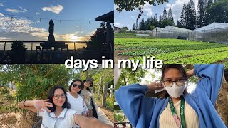 ꒰ video dump ꒱ days with friends amp fam uni life  little trips to cafes amp places 🌅🩵  bsnlog [upl. by Araid]