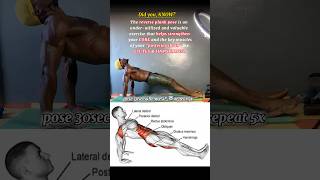 Amazing facts About reverse plank pose trythisathome reverseplankpose facts dailyimprovement [upl. by Atazroglam]