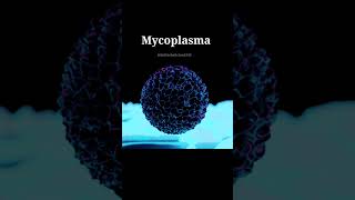 What is MycoplasmaMycoplasma charactersmicrobiologymicroorganismsminivlogfactshealthscience [upl. by Nythsa]