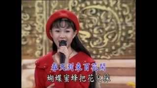 卓依婷 Timi Zhuo 百花齐放 高清第一中国DVD国语版 粤语：恭喜过新年 [upl. by Ailliw417]