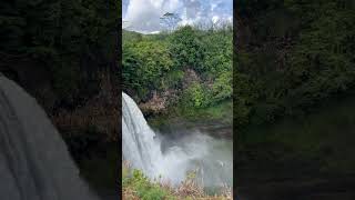 Wailua falls Kauai [upl. by Hanleigh]