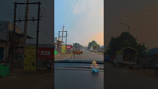 DRIVING Like a PRO on Village Roads with DJI Osmo Action 5 Pro  ytshorts youtubeshorts [upl. by Groves]