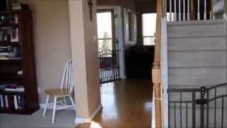 HOUSE FOR RENT  Virtual Tour  Robins Nest House [upl. by Kelwen]