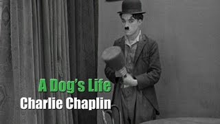 Charlie Chaplin  A Dogs Life  Hand Scene quotPuppetquot Gag [upl. by Idalina]