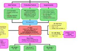 IsoimmunizationRh incompatability in the newborn [upl. by Aitital]