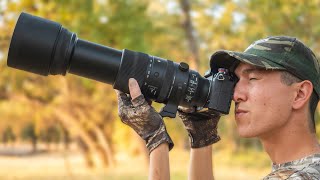 Sigma 150600mm NEW Lens Review for WildlifeBird Photography [upl. by Carlson]