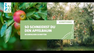 Intratuin  Apfelbaum schneiden [upl. by Ojyllek]