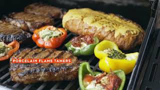 Megamaster 2 Burner Propane Gas Grill Features [upl. by Olim]