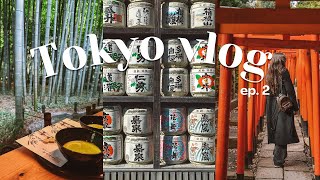 Tokyo vlog  kamakura day trip teahouse streetfood hidden gems ueno best spots autumn in Japan [upl. by Surdna]