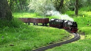 Natur amp Gartenbahn  Die HSB Harzer Schrebergarten Bahn [upl. by Anner759]