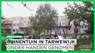 Actie in Tarwewijk Binnentuin onder handen genomen na jarenlange achterstand  SAMENLEVING [upl. by Aisauqal]