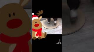 Rudolph The Red Nosed Reindeer Tap Dance [upl. by Nedyarb]