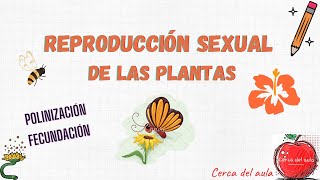 Reproducción sexual de las plantas [upl. by Vocaay420]