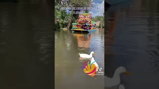 Trajineras Xochimilco Cuemanco CDMX shots viralshorts shortsviral [upl. by Ecraep769]