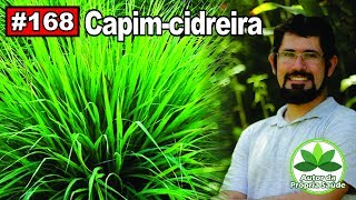 Autor da própria Saúde Capim Cidreira [upl. by Tedmann695]