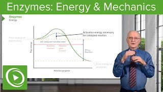 Enzymes Activation Energy amp Mechanics – Biochemistry  Lecturio [upl. by Gross]