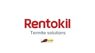 Termite Control Solutions  Rentokil Pest Control Malaysia [upl. by Etan]