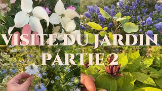 Partie 2  Visite du jardin  les plantes ornementales comestibles [upl. by Thilda]