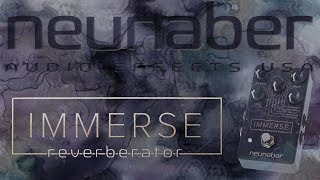 Neunaber Immerse Reverberator Demo Including Kill Dry Switch [upl. by Aikin]