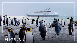 Les croisières en Antarctique avec Michel Rocard  PONANT [upl. by Travax]