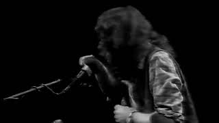 Rory Gallagher 1976 Filter Furore Show Netherlands [upl. by Trow467]