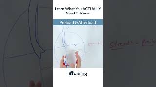 Preload v Afterload  an intro nclex nursingstudent [upl. by Neffets]