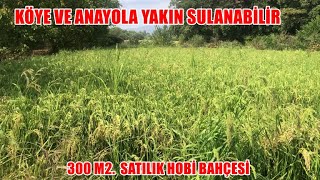 KÖYE VE ANAASFALT YOLA YAKIN 300 M2 SATILIK HOBİ BAHÇESİ [upl. by Moir]