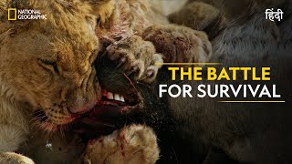 The Battle for Survival  Savage Kingdom  हिन्दी  Full Episode  S1E3  Nat Geo Wild [upl. by Martijn819]