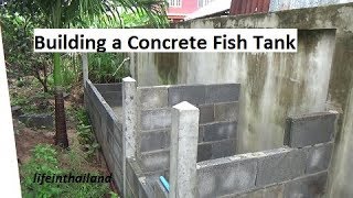 Building a concrete fish tank start to finish [upl. by Nivaj654]