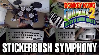 🍌Stickerbush Symphony  Donkey Kong Country 2 Cover Remake [upl. by Eelidnarb]