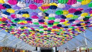 Umbrellas in the sky Agueda Guardachuvas no ceu Agueda [upl. by Ronalda]