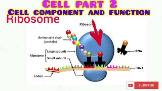 CELL PART 2 [upl. by Mansfield]