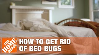 How to Get Rid of Bed Bugs  DIY Pest Control  The Home Depot [upl. by Erv805]