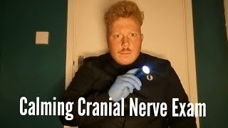 ASMR  Calming Cranial Nerve Exam  Lotsa Tingles [upl. by Elyrpa]