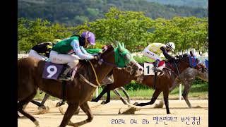 LetsRun Park Busan Gyeongnam Horse racing sound recording [upl. by Nonnahsed]