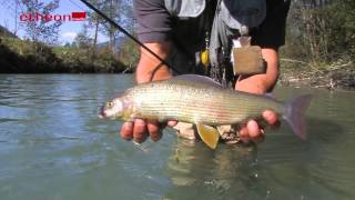 Auf Äschen im kleinen Fluss  Fliegenfischen in Österreich bei etheonTV [upl. by Asiluj]