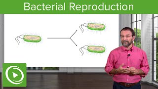 Bacterial Reproduction Heterotrophy amp Autotrophy – Microbiology  Lecturio [upl. by Ashien]