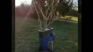 Jardin BIO facile  paillage facile  broya ou BRF  Quoi faire au jardin en hiver [upl. by Mehetabel]