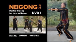 NEI GONG  Martial Arts Qigong YMAA Dr Yang JwingMing [upl. by Assirt96]