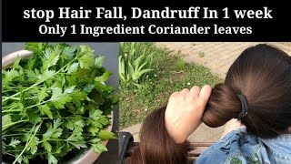 Best Home remedy For Hair LossCoriander Hair Growth Toner for BaldnessHair Fall dandruff Problem [upl. by Adnaluoy]